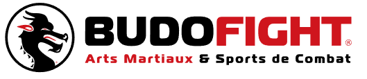 Budo Fight