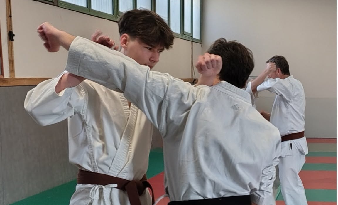 Mise en oeuvre de techniques de Self-Defense (Mars 2025)